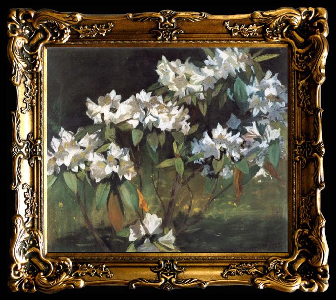 framed  William Stott of Oldham White Rhododendrons, Ta017
